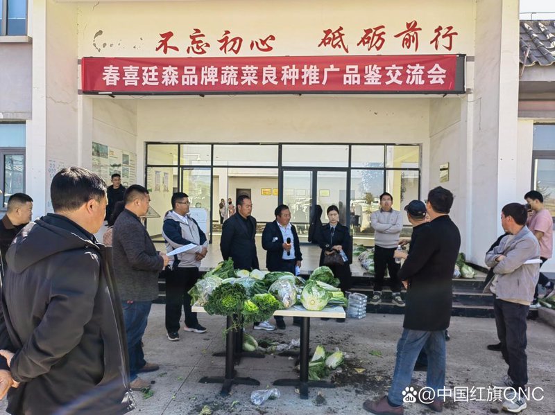 定制开发——企业品牌形象的翅膀